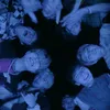 .strey.kids1
