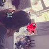 r33se_priv