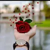 user7371973747825