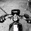 nguawur.asuh