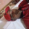 el.rey.david7