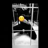 dody_l3