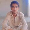 majidshaikh4538