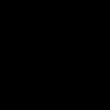30033095004r858585