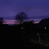 js_alex0