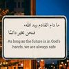 user8816669250047