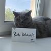 reh_rehovich1