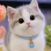rou_rou86