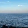 nryv_0