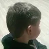 .felipaine