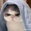yasmin.1234994