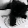 matvei_tp