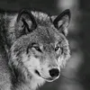 ڪەڵـە گـیـان.🖤
