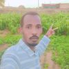 user66877161370445