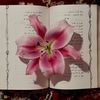 .hala674