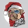 sparky.personal.helper