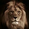 a_ahmed149