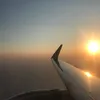 wingspan44