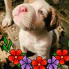 linda.butler365