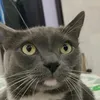 shywhycl