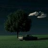 mohammad_k231