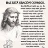 lancarlos918