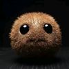 igoontokiwi