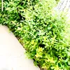 nawid.noori17