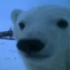 perro_galactico_