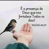 mary.estrelinha3