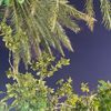 hamidalkaabi802