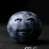 nicheblueberrytwin
