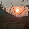 putri_candra1