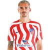 griezmann192