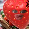 strawberrymaniss_4578
