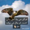 user9331320722101