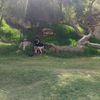 chinitos_aventuras