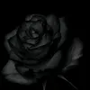 s_rr1115