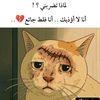 user43924026611455