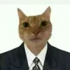 lg.n7