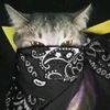 pp.ramadhan502
