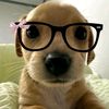 chiko_.desconocido