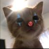 user_05892