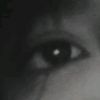 annii_249