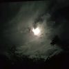 chamujitha____0012