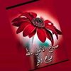 user61231812294615