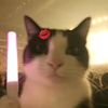 url0ve4u_2013