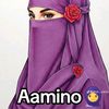 amiino517