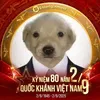 huy.gia2058