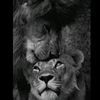 user44831479312636